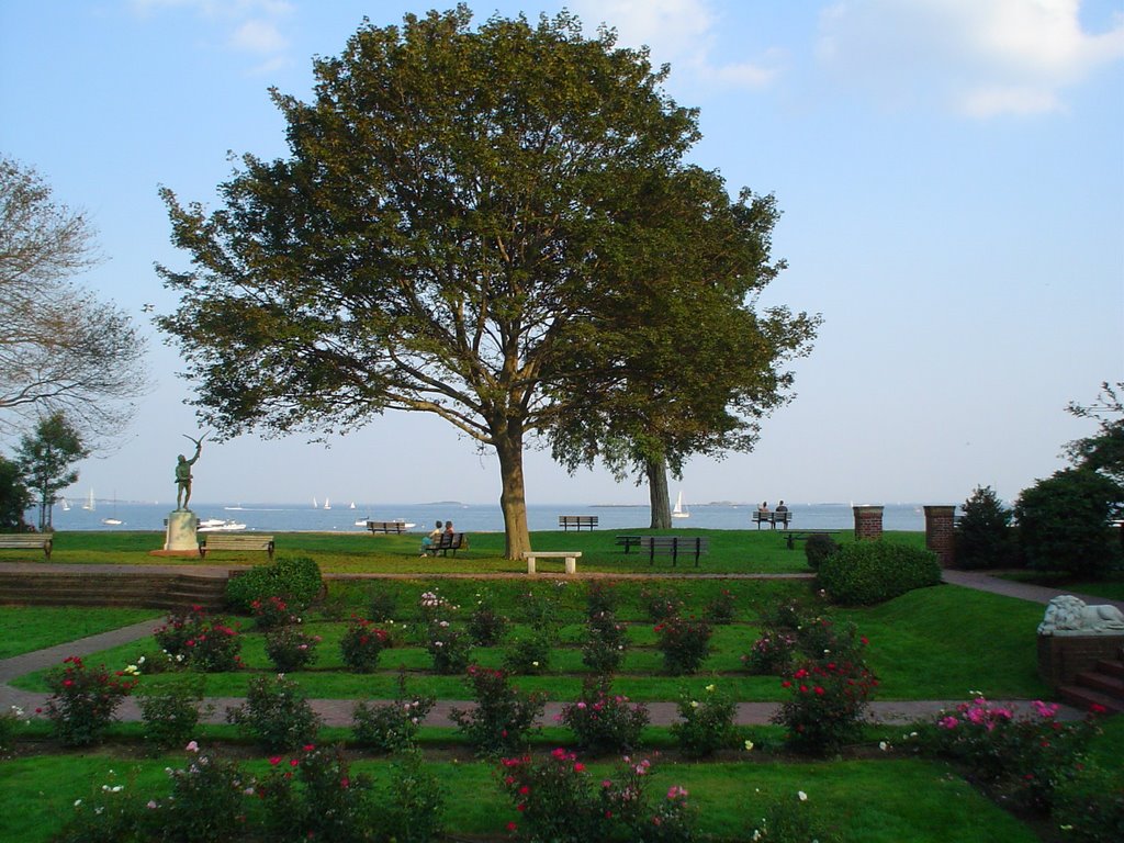 Tree at Lynch Park
