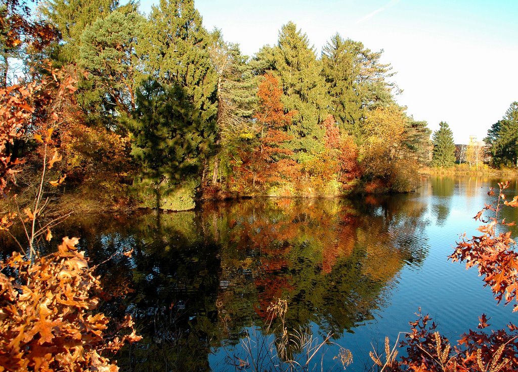 Shoe Pond, Beverly in Autumn