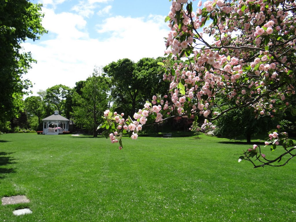 Beverly Common