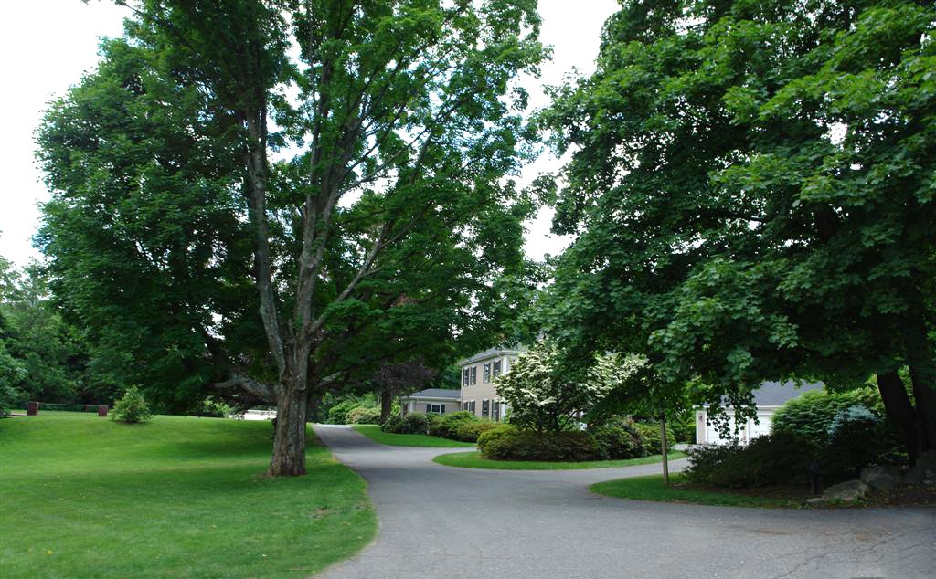 House On - Concord Ave - Belmont, MA