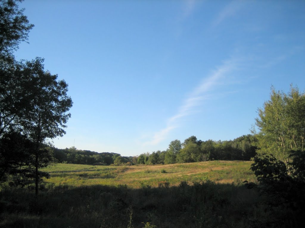 Rock Meadow