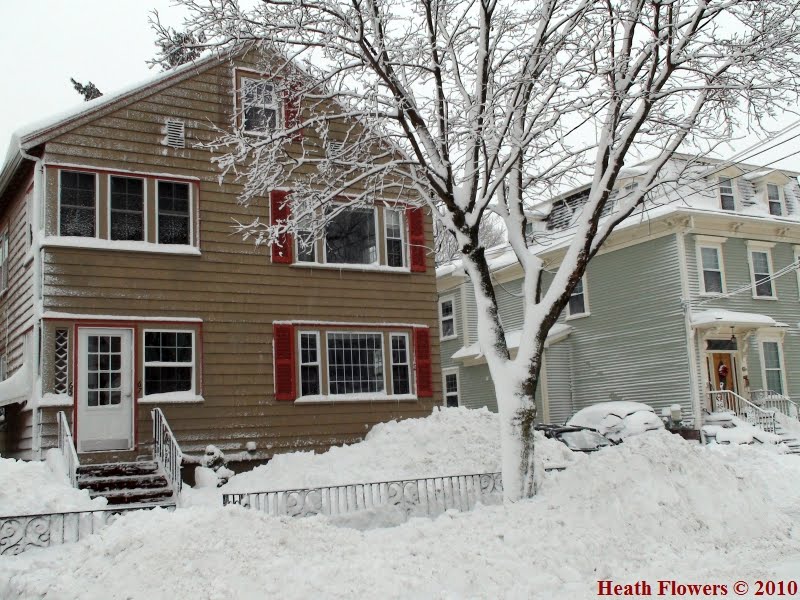 Belmont Winter Storm 2011