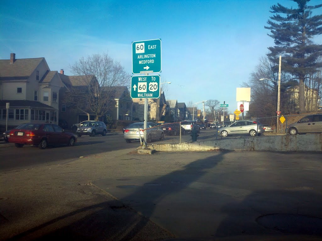 Trapelo at Waverley, Feb 2012