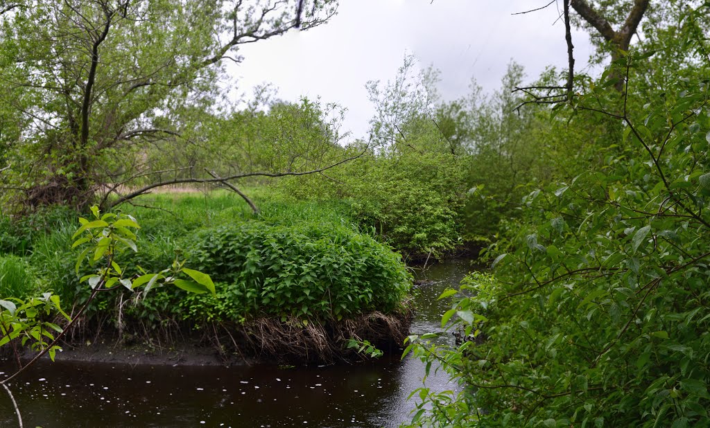 Beaver Brook Reservation