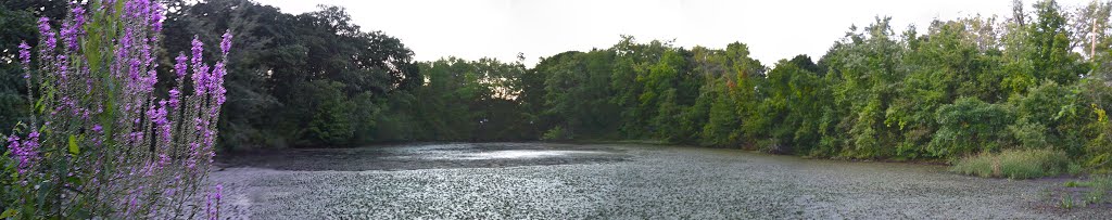 Beaver Brook Mill Pond