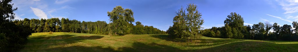 Lone Tree Hill
