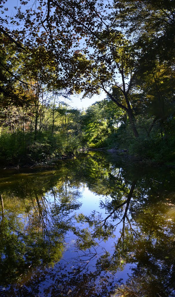 Turtle Pond, Habitat