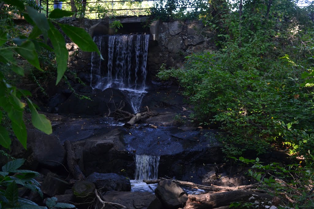 Waverley Oaks Duck Pond Dam