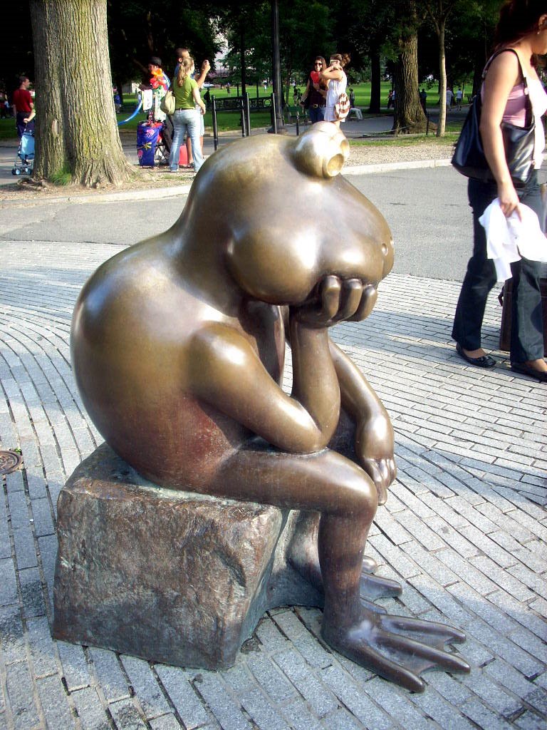 MR. FROG is guarding the Frog Pond