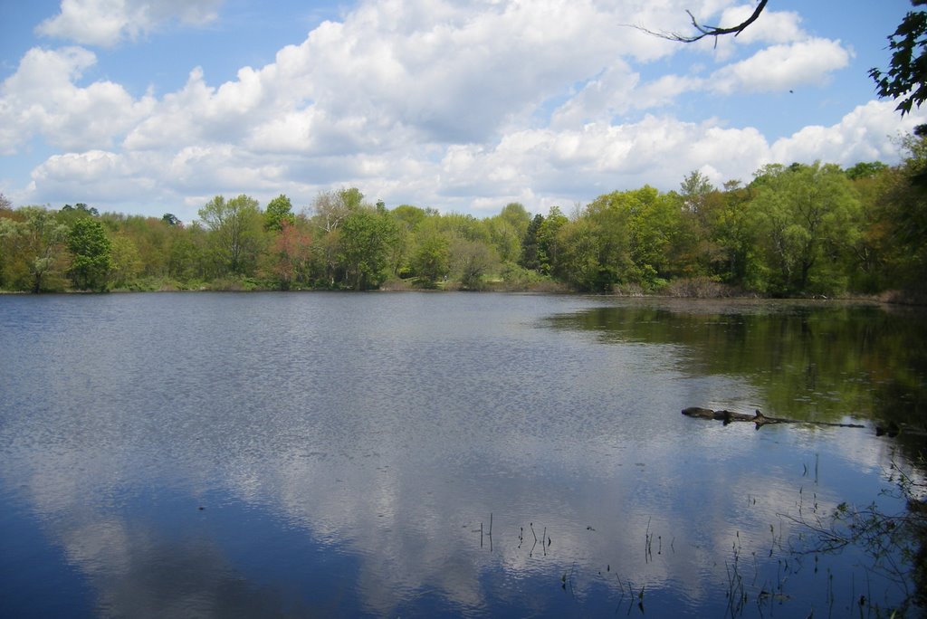 Carver Pond