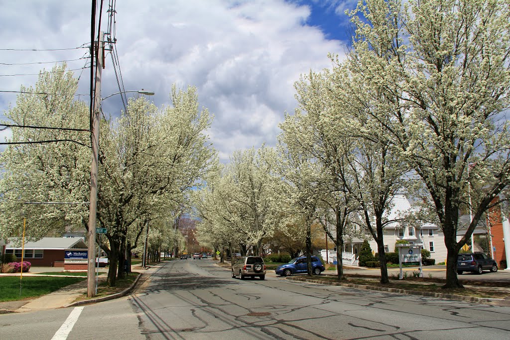 Looking NW Along Main St, Bridgewater MA
