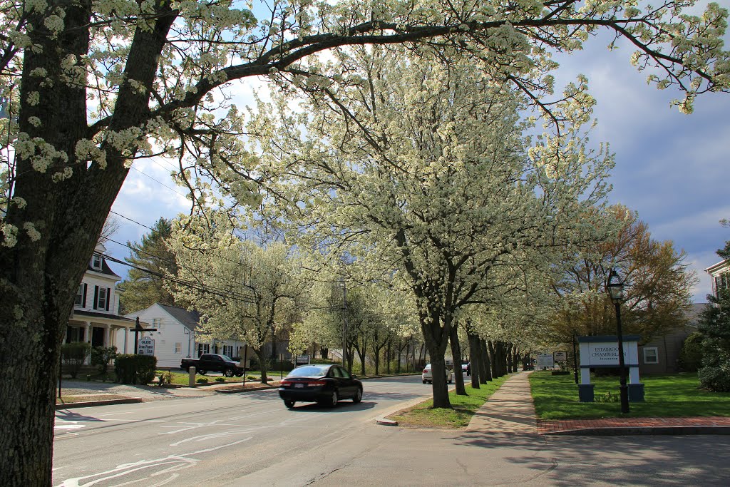 Looking NW Along Main St, Bridgewater MA