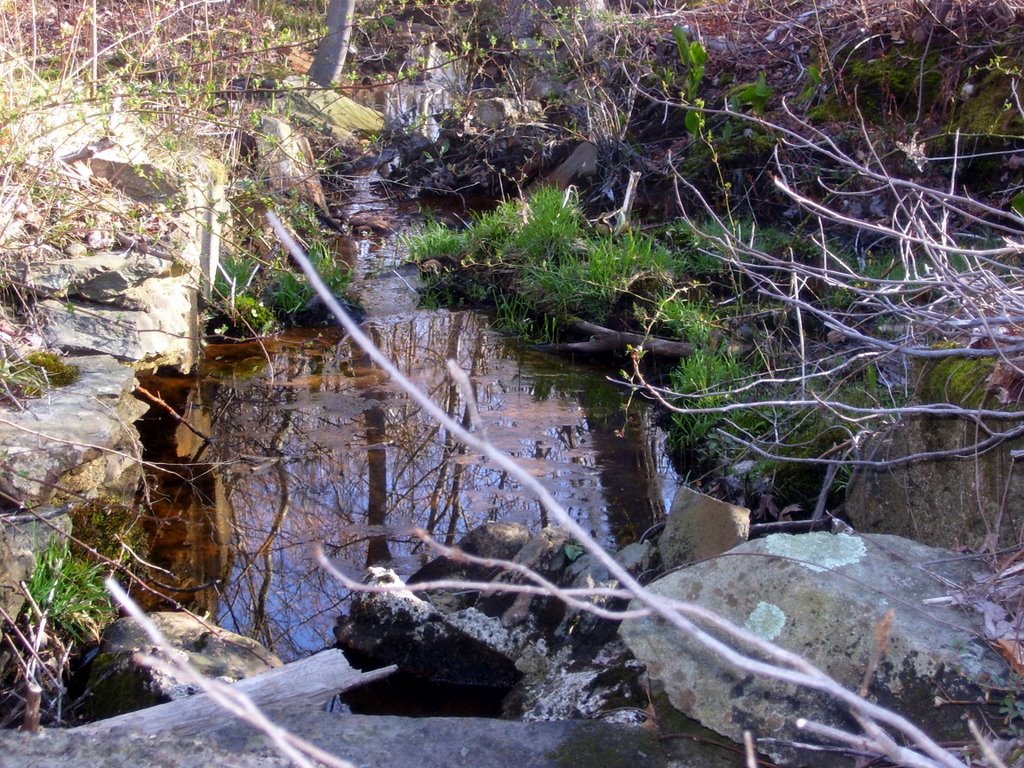 carvers pond 1