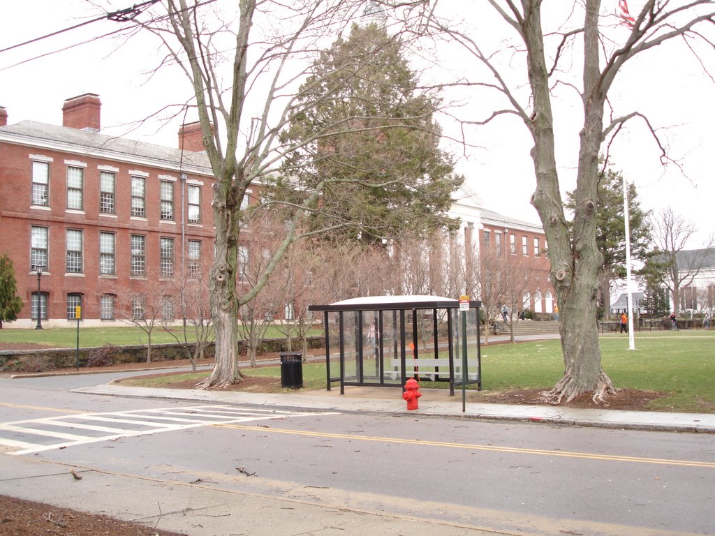 Boyden Hall Bus Stop