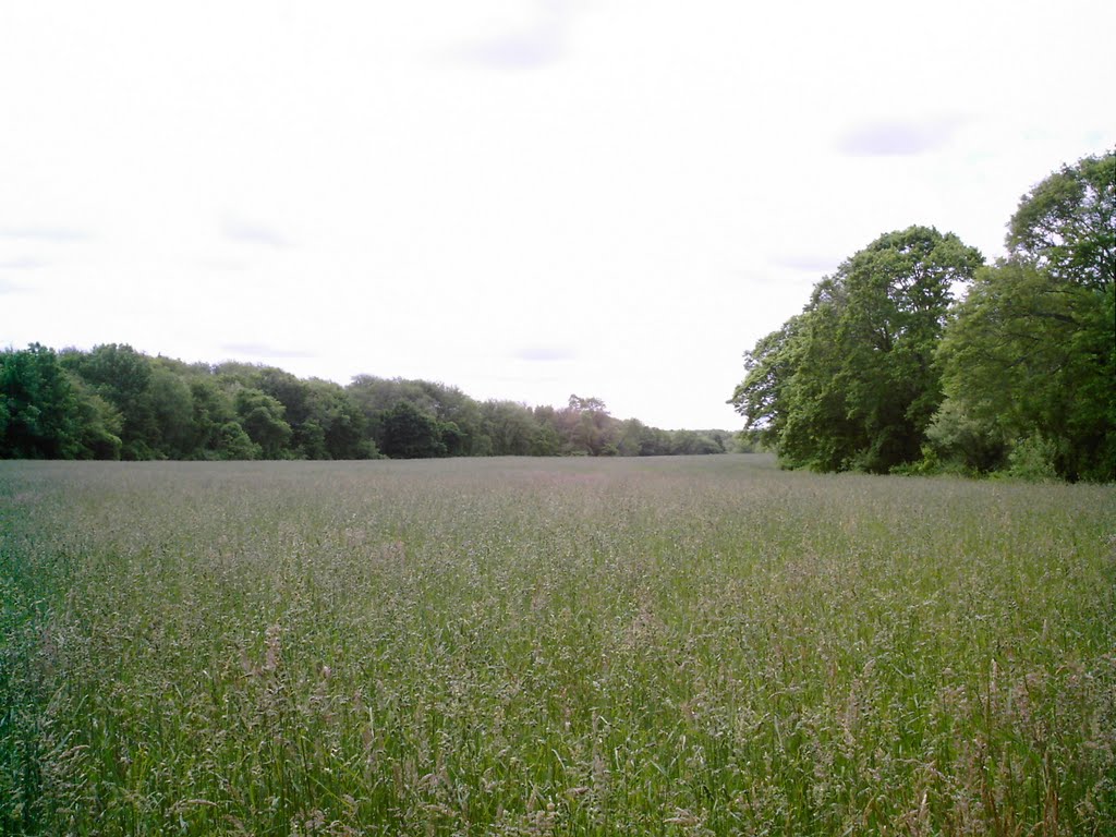 state land field