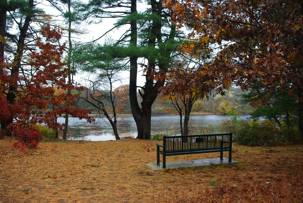 Carver Pond