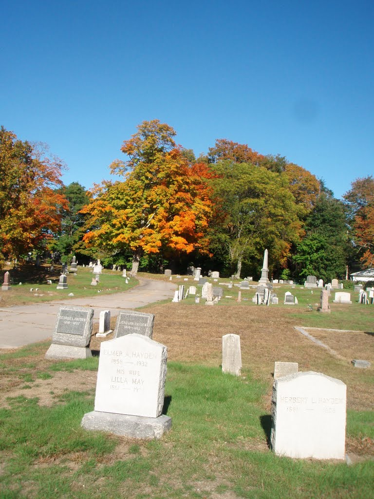 beautiful fall colors