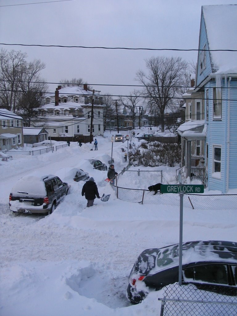 The Aftermath of a Snowstorm, January 2005