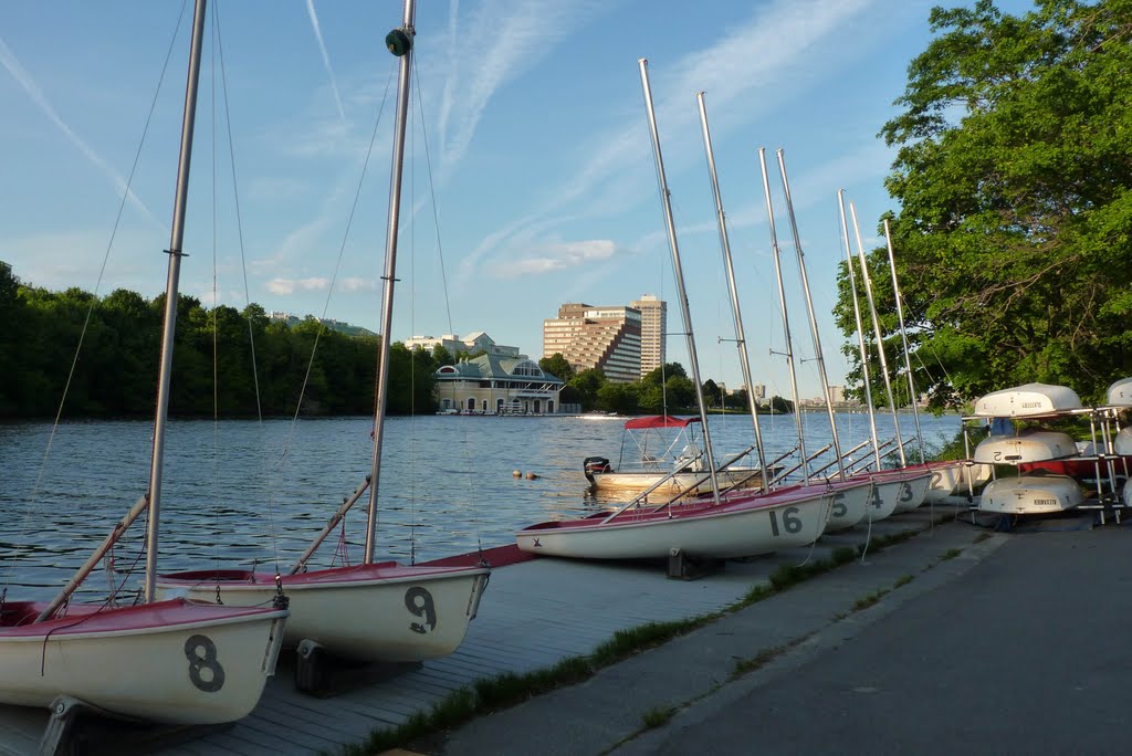 Charles River, Dewolfe Boathouse and Hyatt Regency Hotel from BU Sailing Pavilion