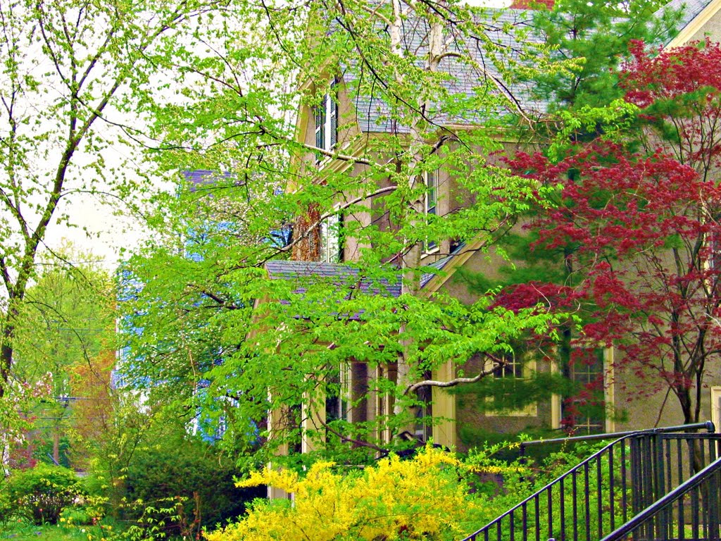Spring in Brookline