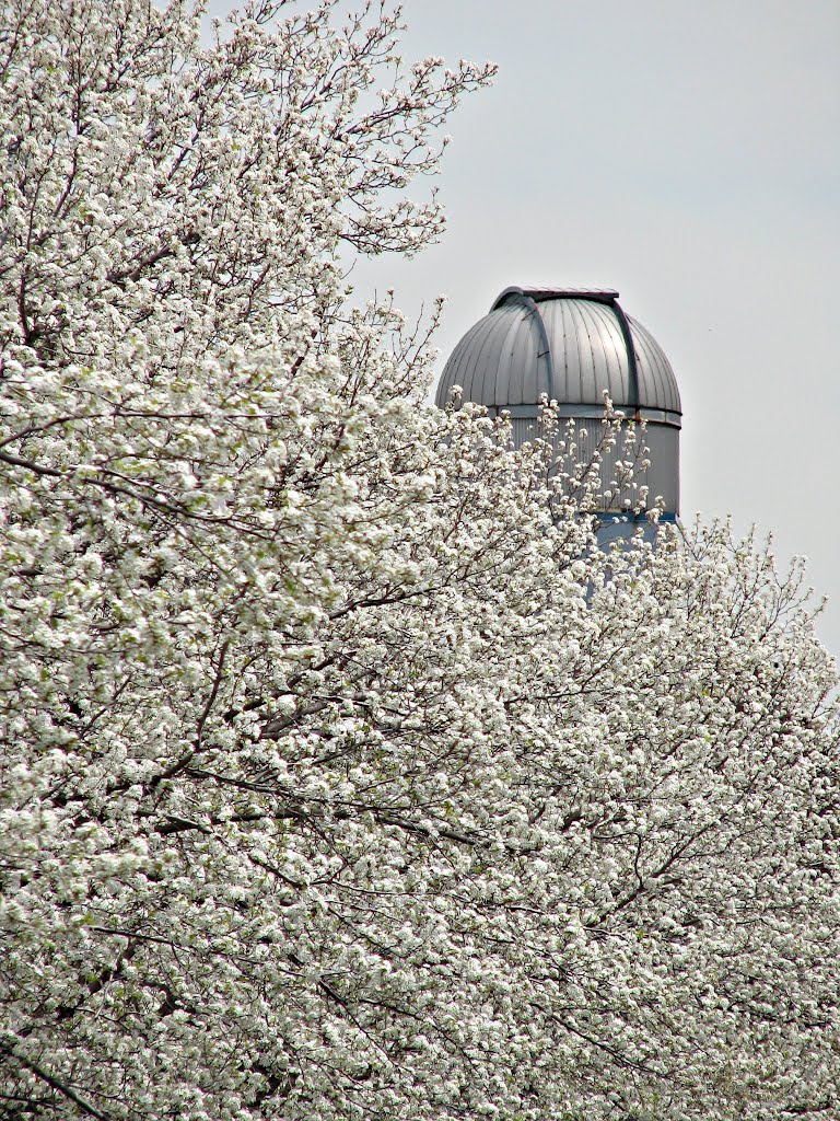 Spring at BU (telescope tower)