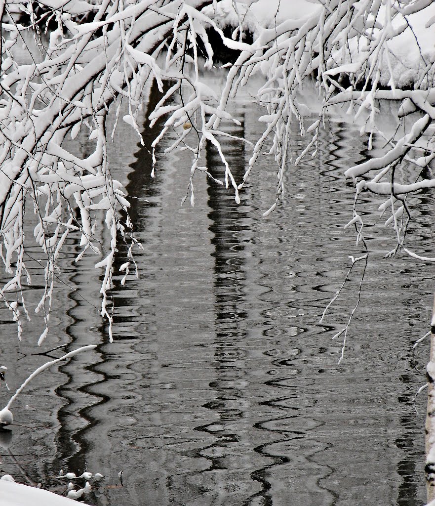 Muddy river in winter