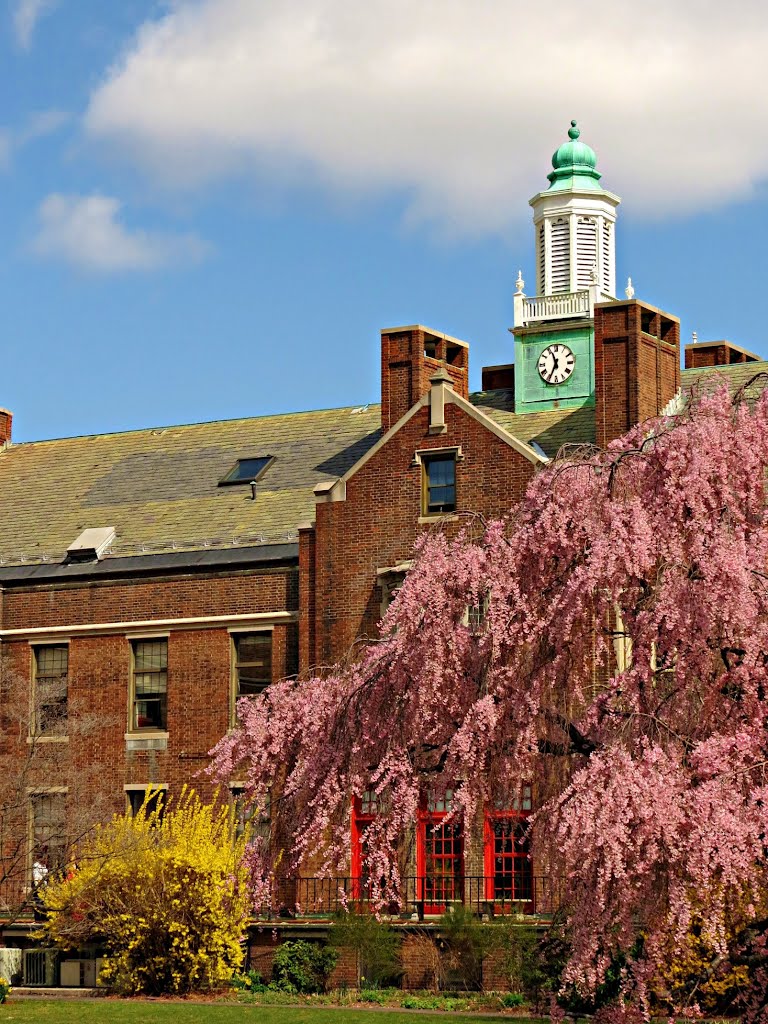 The Winsor School