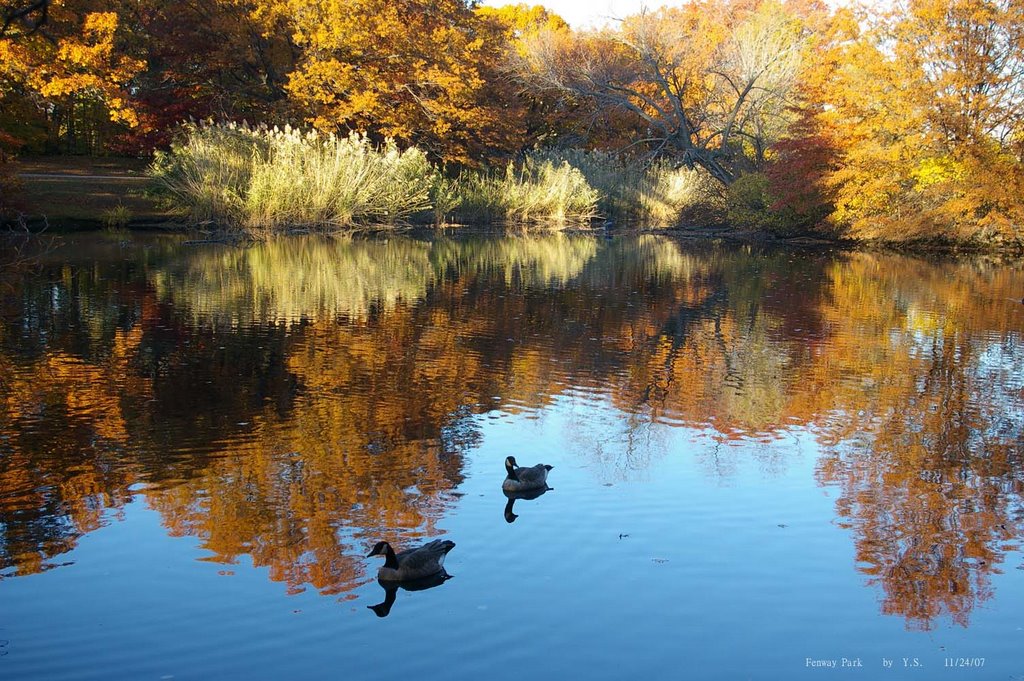 Boston Autumn Scene