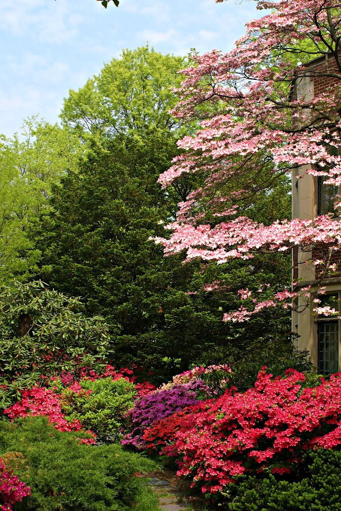 Prescott street, Brookline
