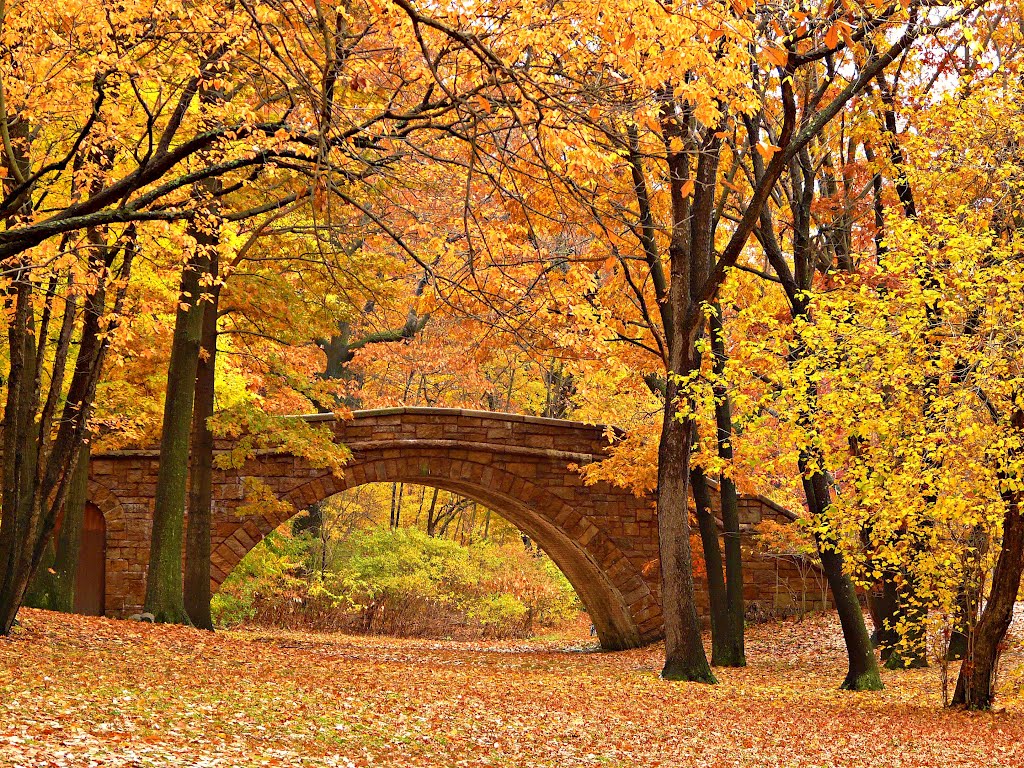 Bostons Emerald Necklace turns Golden in autumn.