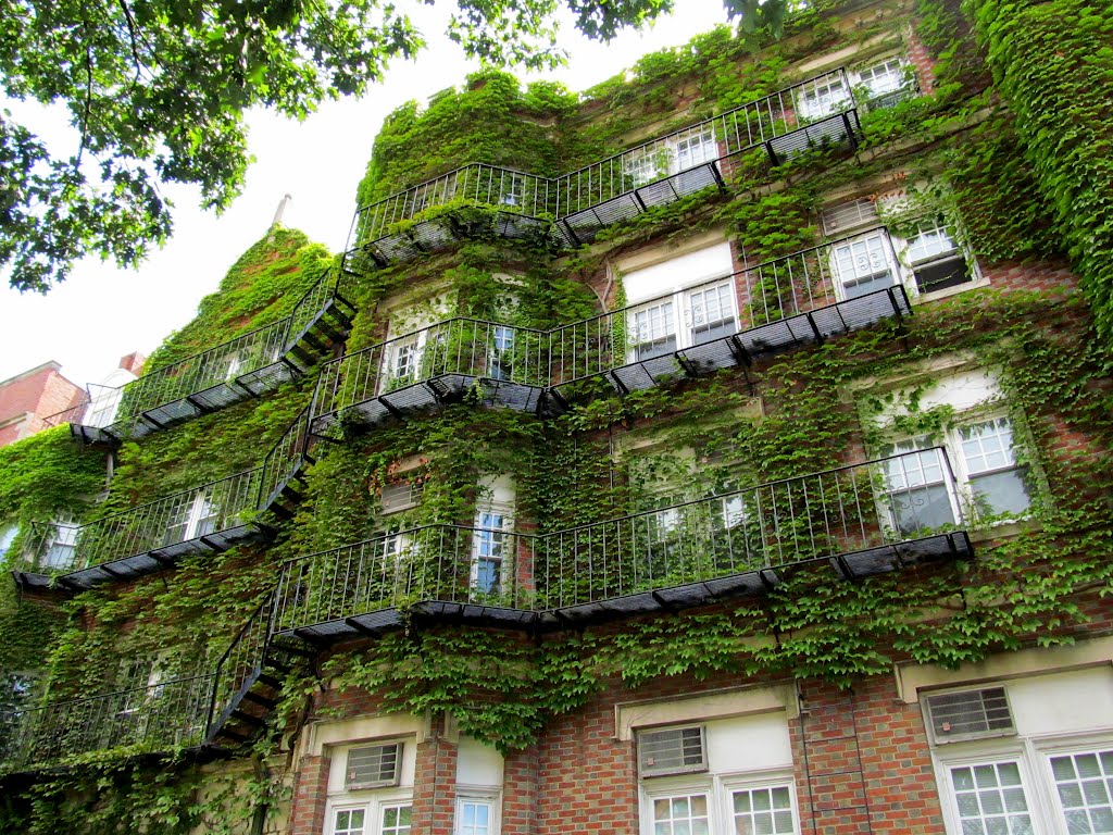 Beacon Street