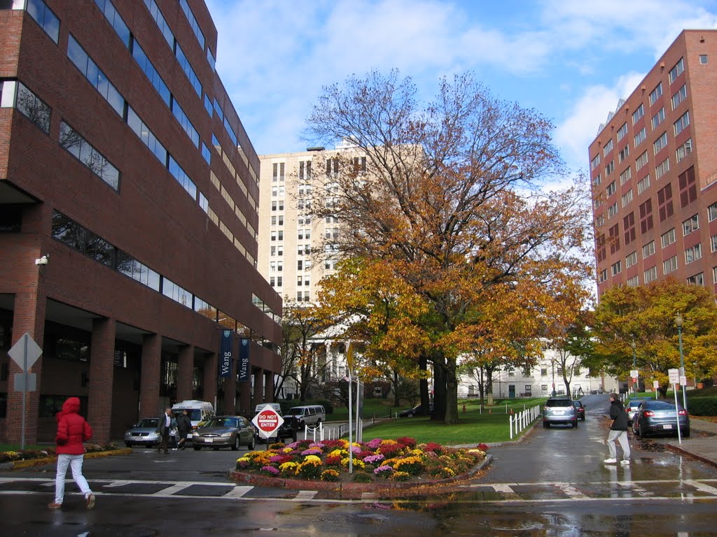 Massachusetts General Hospital ~ Wang Building on Left