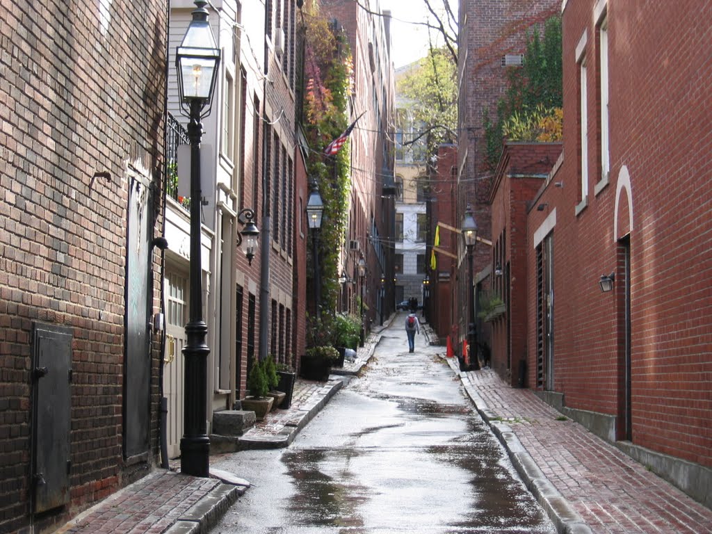 Ridgeway Lane ~ Massachusetts State House at end of the Lane