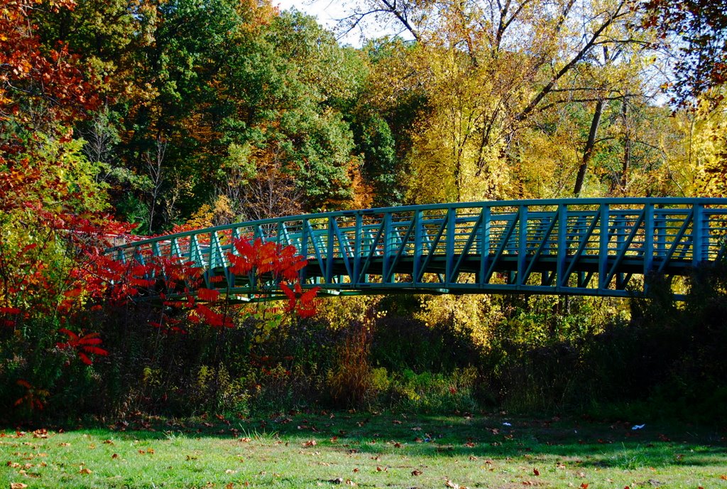 Foot Bridge on Nashs Mill Road