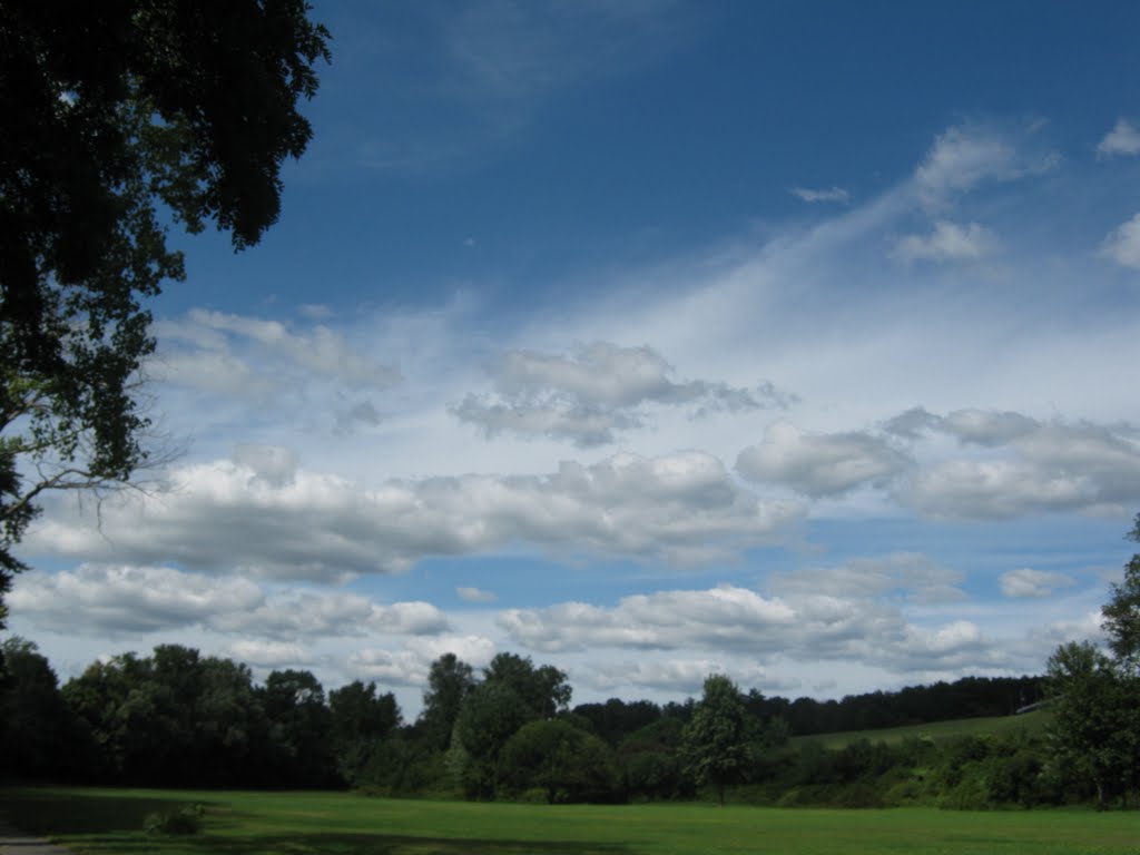 Field Behind the Jail
