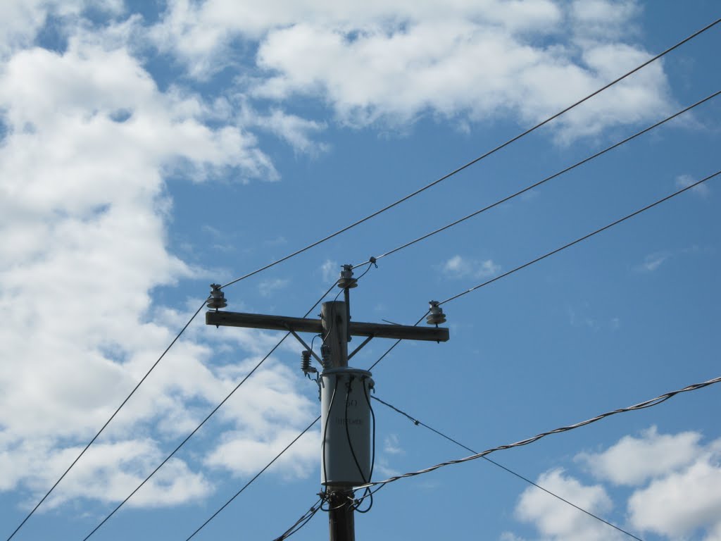 Electrical Wires on Pierce st.