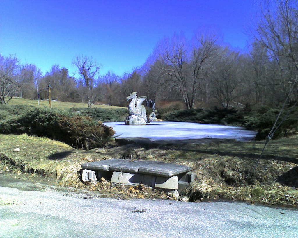Dragon Pond