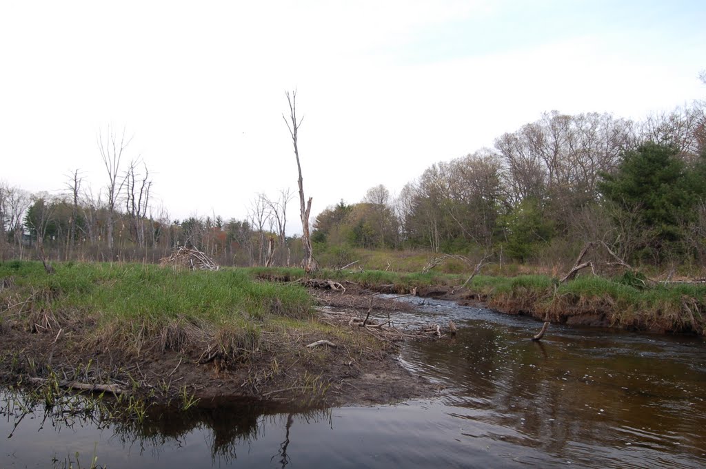 Little River