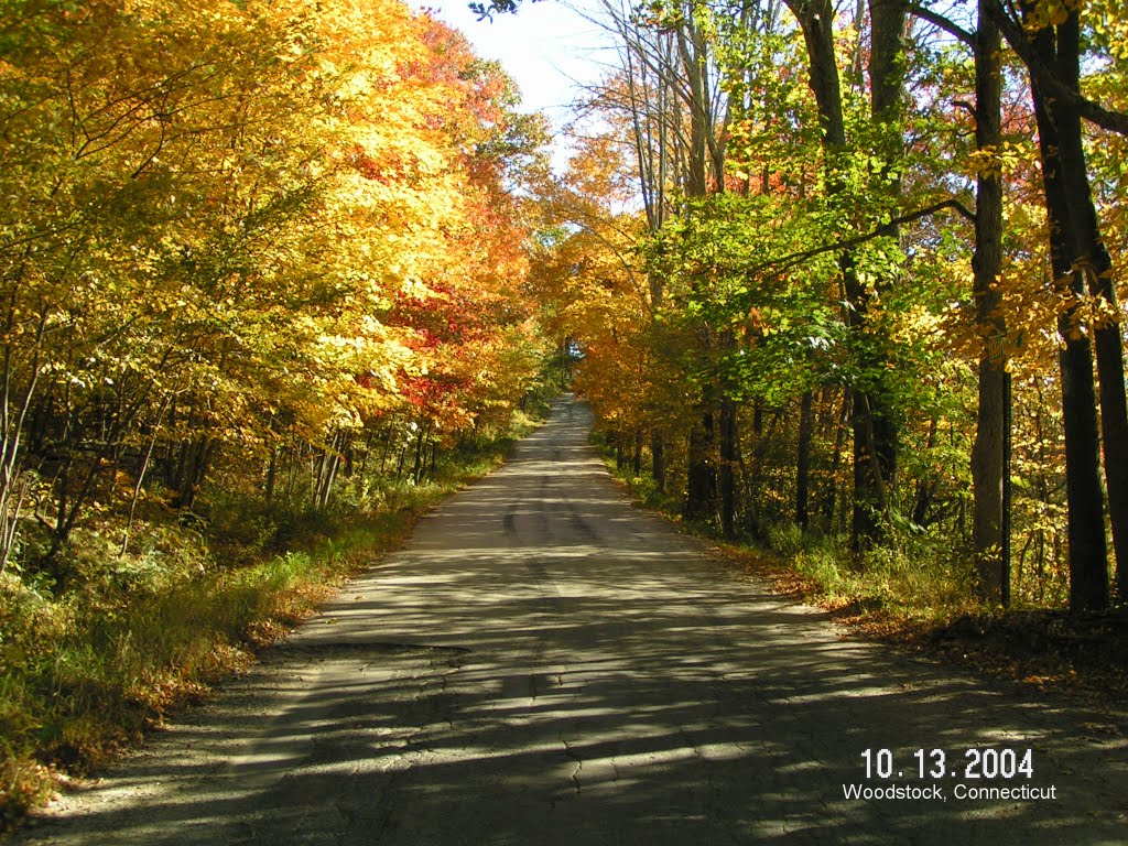Autumn Country Lane - New England