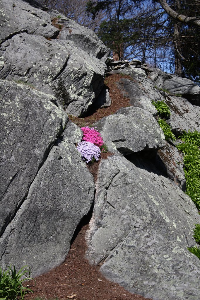 Great Rock in CT