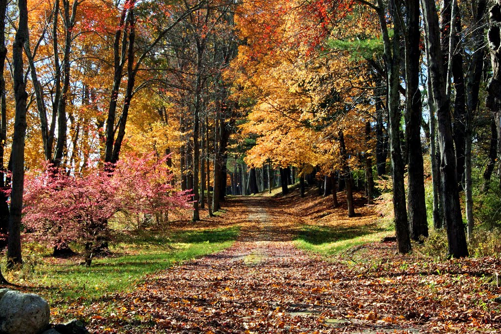 Autumn Hallmark
