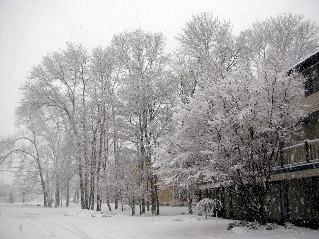 Η γειτονια μου χιονισμενη..!! My snowy neighborhood..!!