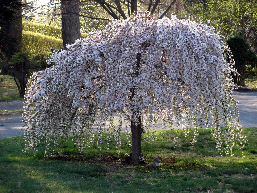 spring is here...