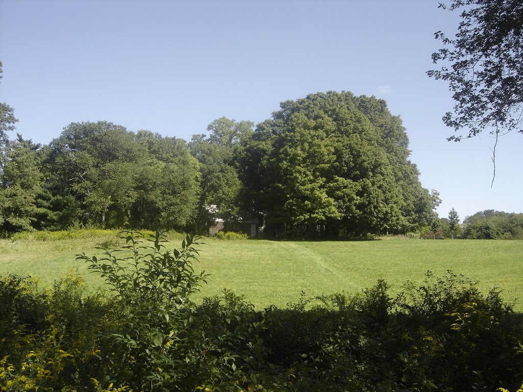 Sachem Rock Farm