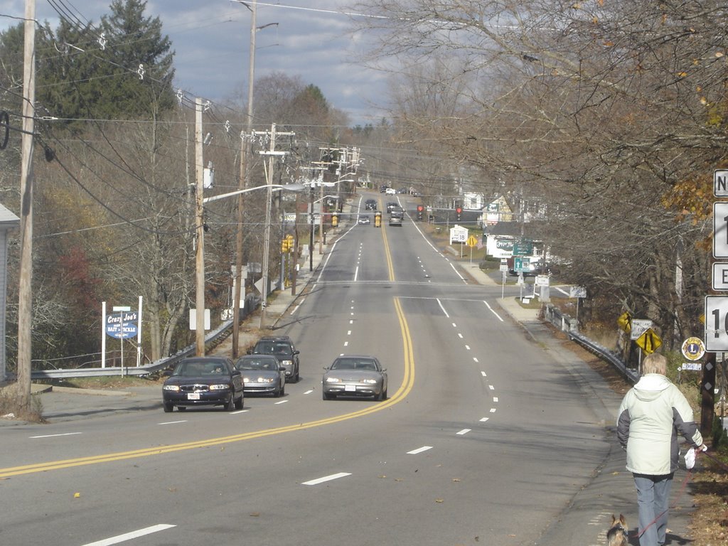 View from top of Elmwood hill