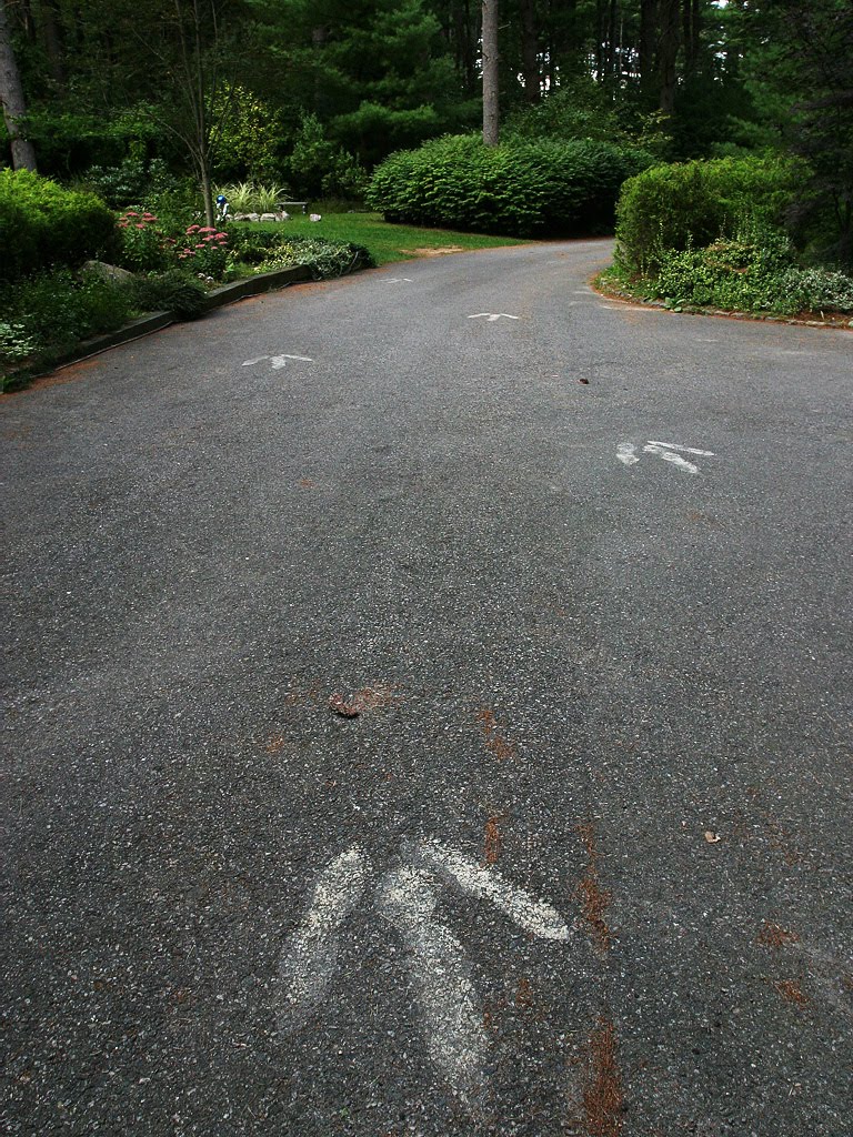 Dinosaur footprints in Massachusetts