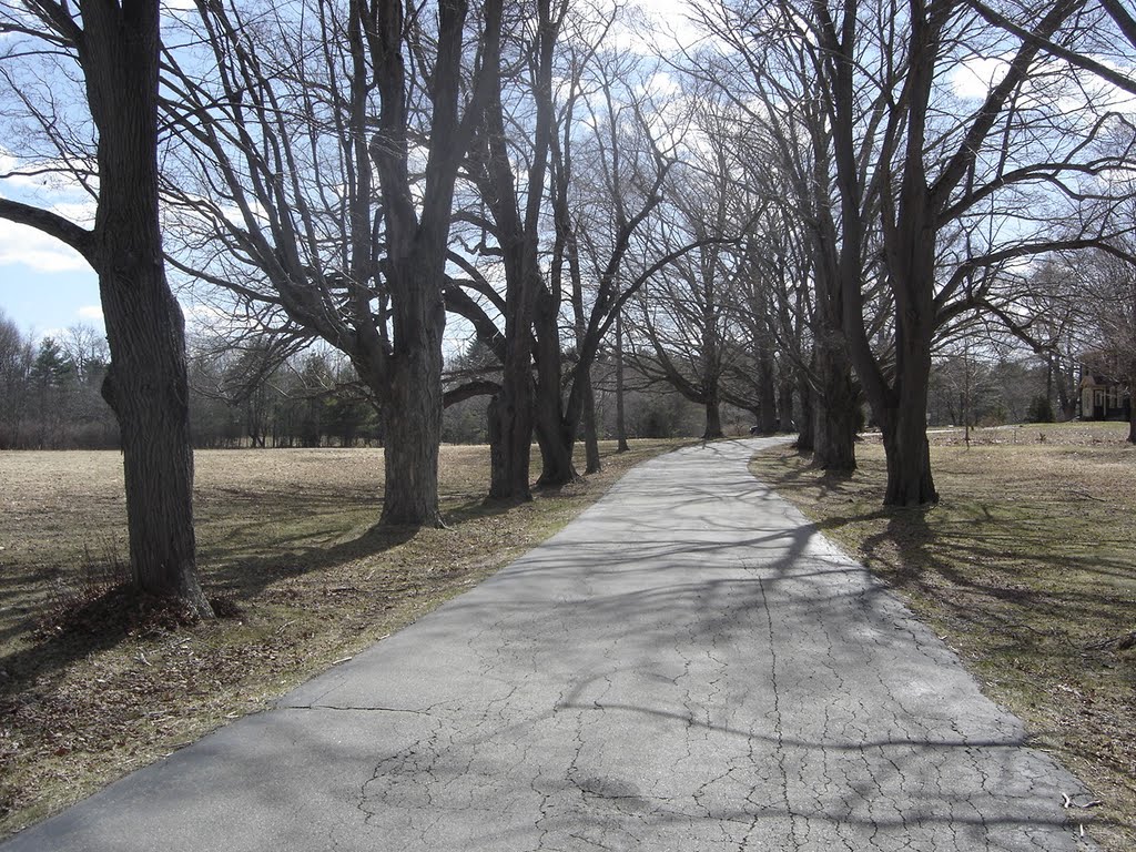 Late March at Sachem Rock Farm