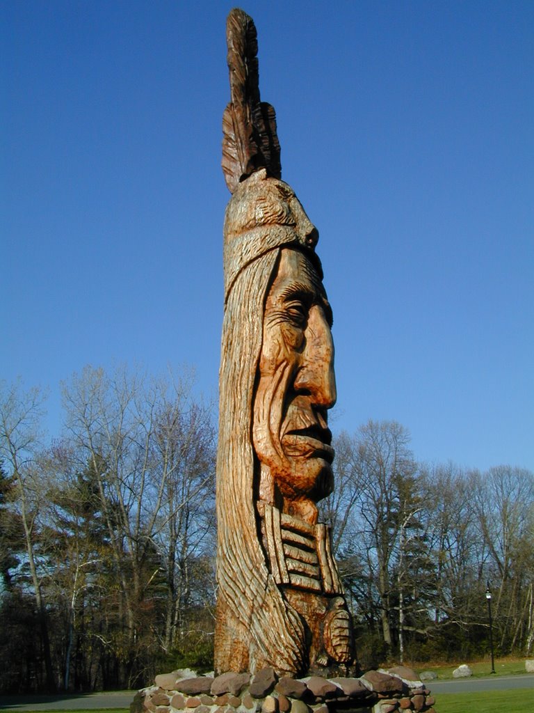 Omiskanoagwiak Wolf People Medicine Man Forest Park