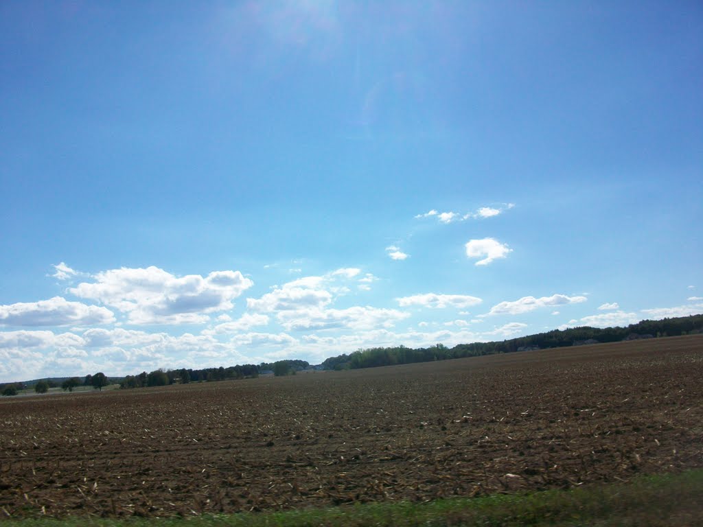 large cornfield surrounded by mcmansions
