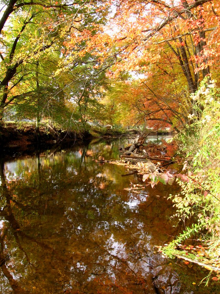 Scantic River Linear Park 1